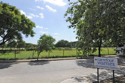 Las torres de 48 metros que se elevarán frente a una de las reservas naturales más grandes de la ciudad