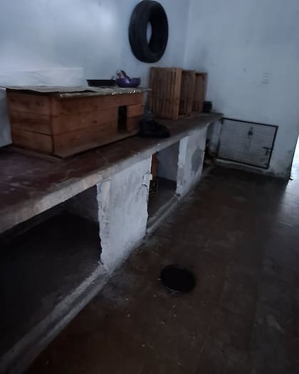 El predio era un depósito de animales a los que nadie prestaba atención.