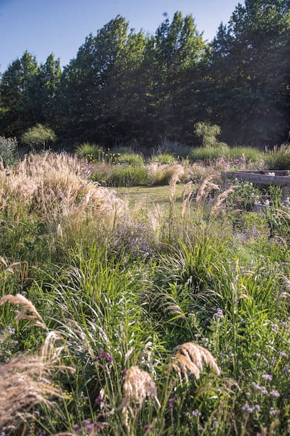 El predio, mayormente intervenido con plantas nativas, es un lugar donde se equilibran belleza y naturaleza.