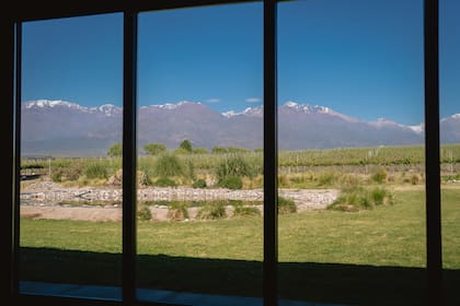El predio también tiene un espejo de agua