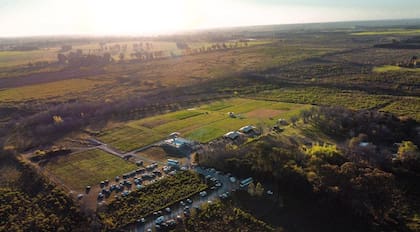 El predio ubicado en Campana posee unas 74 hectáreas de las cuales siete están plantadas con viñedos de diferentes variedades