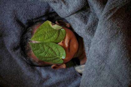 El cuerpo de un niño de 11 meses permanece con sus ojos cubiertos con hojas, luego de sufrir fiebre alta en el campo de refugiados de Balukhali (4 de diciembre de 2017)