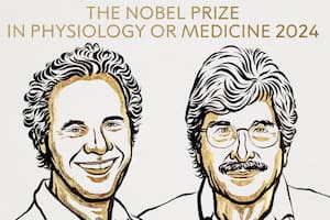 El Premio Nobel en Medicina fue otorgado a Victor Ambros y Gary Ruvkun por el descubrimiento del microARN y su papel en la regulación genética postranscripcional.
