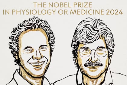 El Premio Nobel en Medicina fue otorgado a Victor Ambros y Gary Ruvkun por el descubrimiento del microARN y su papel en la regulación genética postranscripcional.