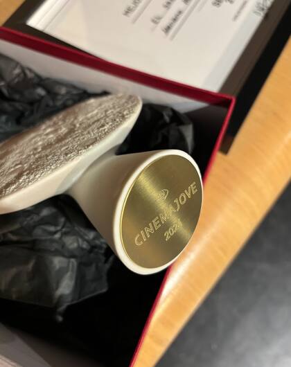 El Festival Internacional de Cine de Valencia CinemaJove destaca desde hace 40 años a los mejores jóvenes cineastas del mundo. Este año, la competencia oficial de series constó de una selección de 8 producciones de entre las más de 100 que se evaluaron. En ese contexto, El sabor del silencio se alzó con una de las famosas Lunas de Valencia del Festival