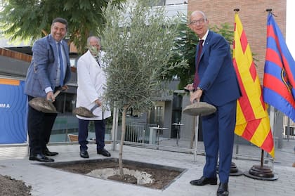 El presidente Daniel Angelici planta un olivo por la paz en el Nou Camp, junto al vicepresidente primero del Barcelona, Jordi Cardoner. Fue una iniciativa de la fundación Scholas Ocurrentes.