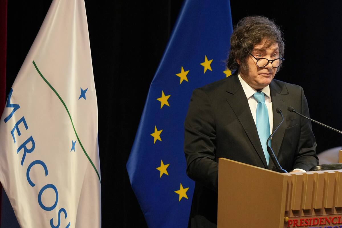 Javier Miele em Davos, ao vivo – participação no fórum económico Javier Miele em Davos, ao vivo – participação no fórum económico