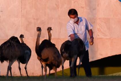 El mandatario de Brasil espera ser dado de alta, a una semana de confirmarse que se contagió de coronavirus