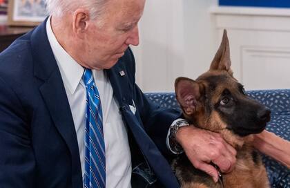 El presidente de EE.UU., Joe Biden, acaricia a su perro, Commander, de dos años, que llegó a la Casa Blanca cuando era cachorro 