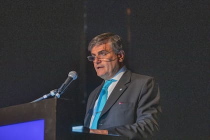 El presidente de la Asociación de Magistrados, Marcelo Gallo Tagle