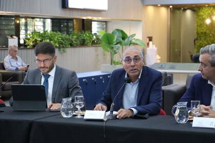 El presidente de la BCR, Miguel Simioni mientras hablaba