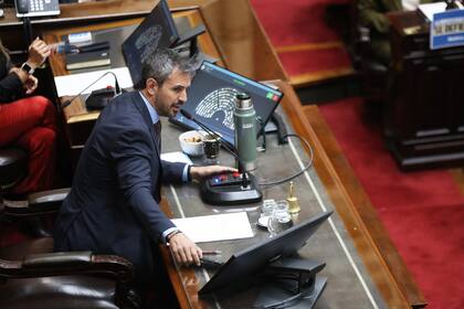 El presidente de la Cámara de Diputados, Martín Menem