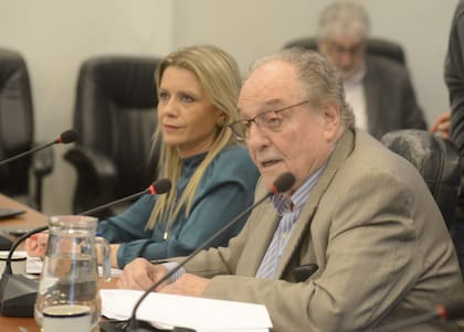 El presidente de la Comisión de Presupuesto, Carlos Heller, junto a Claudia Ballestrini, subsecretaria de Ingresos Públicos