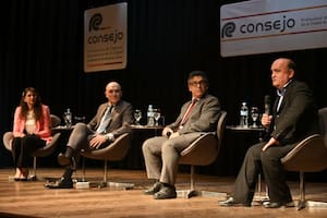 El presidente de la Comisión de Presupuesto, José Luis Espert, en el Consejo Profesional de Ciencias Económicas