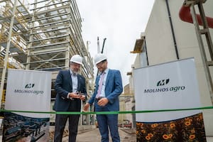 Molinos Agro amplió su molienda de girasol