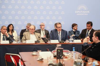 El presidente del BCRA en la Comisión de Presupuesto de la Cámara baja