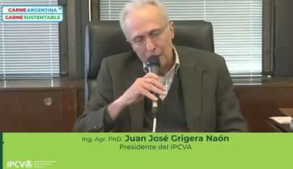 El presidente del IPCVA, Juan José Grigera Naón durante su exposición
