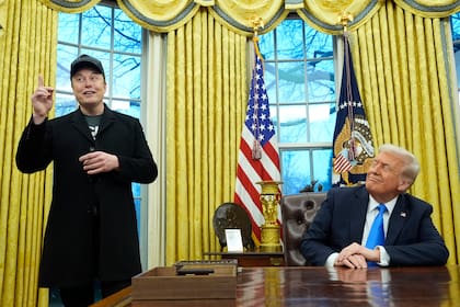 El presidente Donald Trump escucha a Elon Musk en el Despacho Oval de la Casa Blanca, en Washington, el martes 11 de febrero de 2025. (Foto/Alex Brandon)