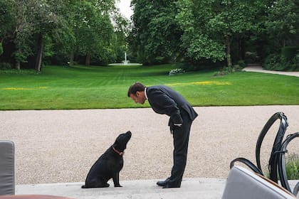 El presidente francés Emmanuel Macron y su perro Nemo