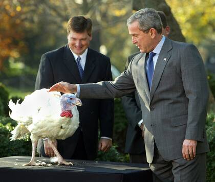 El presidente George W. Bush acaricia la cabeza del pavo llamado 'Stars' durante la ceremonia anual de perdón del pavo en el Jardín de las Rosas, el lunes 24 de noviembre de 2003.
