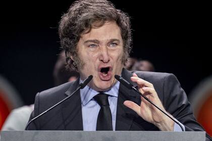 El presidente Javier Milei