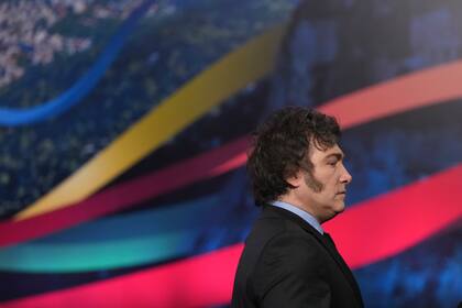 El presidente Javier Milei