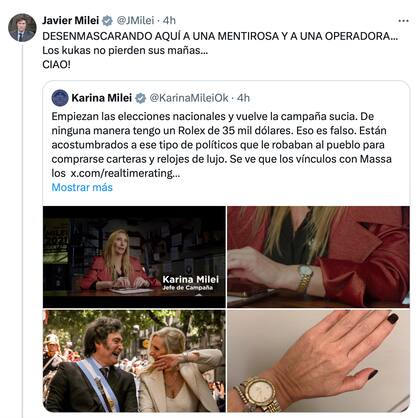 El presidente Javier Milei calificó a David de “mentirosa y operadora” en su cuenta de X