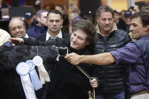 El presidente Javier Milei cuando visitó la exposición Angus en la Rural de Palermo