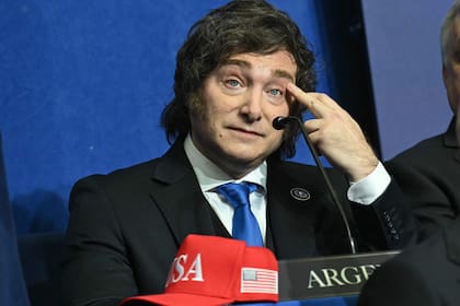 El presidente Javier Milei, en el Consejo de la Paz, en Washington.