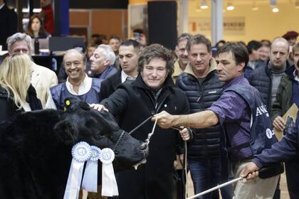 El presidente Javier Milei en una visita que realizó a la exposición Angus en la rural