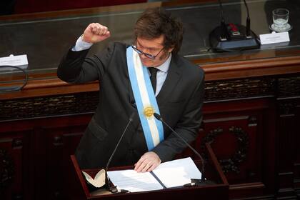El presidente, Javier Milei, inauguró el período de sesiones ordinarias del Congreso Nacional. 