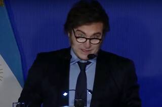 Cepo cambiario y dos historias de elefantes