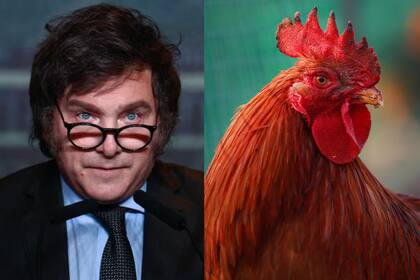 El presidente, Javier Milei, se refirió en el programa a China como socio comercial, sin embargo, el sector agroindustrial todavía espera señales