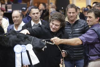 La discusión es por el modelo de país, no por un reclamo sectorial