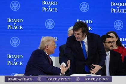 El presidente Javier Milei y el presidente Donald Trump durante la Reunión por la Paz
