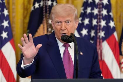 El presidente le solicitó a ICE que enfoquen sus operativos en Chicago, Los Ángeles y Nueva York (AP foto/Alex Brandon. Archivo)