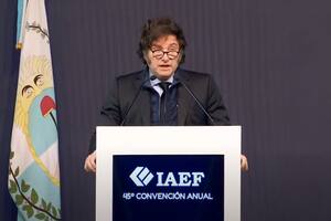 El presidente Milei en el IAEF