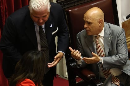 El presidente provisional Bartolomé Abdala pasó largos ratos a cargo de la sesión