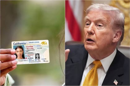 El presidente Trump impulsó durante su reciente discurso la Ley Dalilah que prohibiría que los estados emitan CDL a los inmigrantes indocumentados