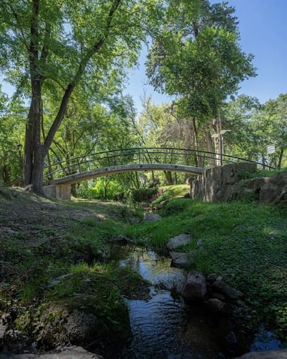 El primer Bosque de la Poesía está en Villa Carlos Paz