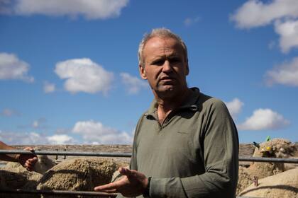 El primer campo donde emplearon la ganadería regenerativa fue el de la familia Fenton