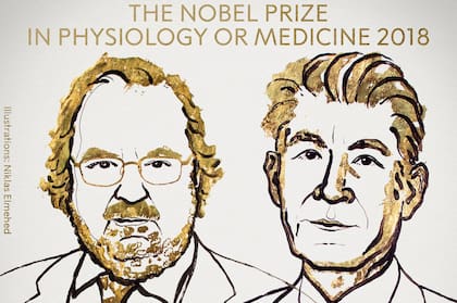 Los dos investigadores que desarrollaron la inmunoterapia para el cáncer recibieron el Nobel en 2018