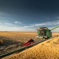 El informe del USDA sacudió a Chicago: se desplomó el maíz y bajó fuerte la soja