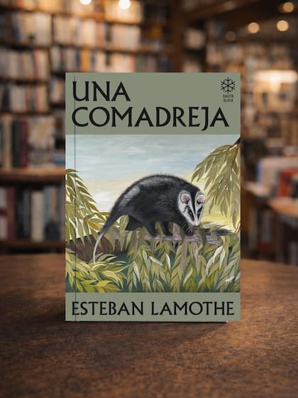 El primer libro de Esteban Lamothe
