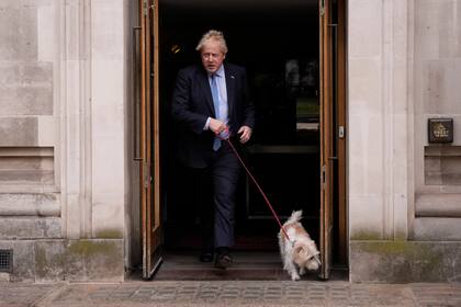 El primer ministro de Gran Bretaña, Boris Johnson, abandona un centro electoral acompañado por su perro Dilyn, en el centro de Londres, luego de votar en comicios locales, el 5 de mayo de 2022. (AP Foto/Matt Dunham)