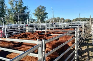 Presentaron un programa para jerarquizar la selección y comercialización