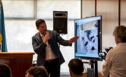 El primer testigo y biólogo acompañó su testimonio de fotos en las que se pueden observar los pichones muertos.