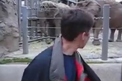 El primer video de YouTube se tituló "Me at the Zoo" y es un clip de 18 segundos en el que Karim muestra a unos elefantes del Zoológico de San Diego (Captura video)