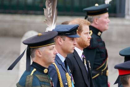 El Príncipe Guillermo y Harry, el Duque de Sussex