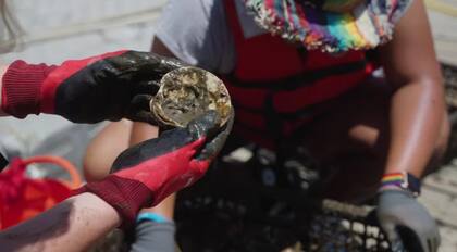 El príncipe William está en Nueva York, donde ha conocido a más participantes para el premio Earthshot